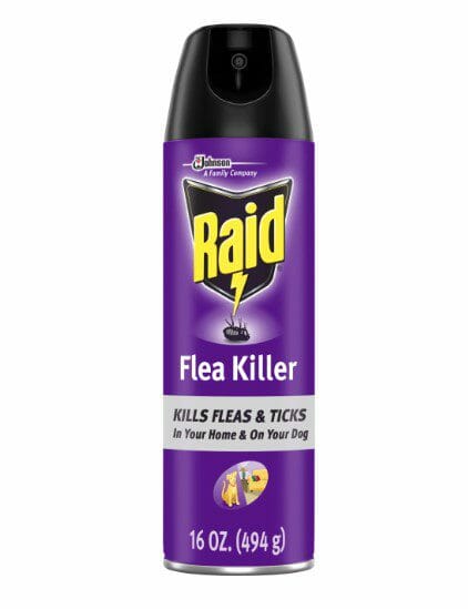 Raid Ant & Roach Killer