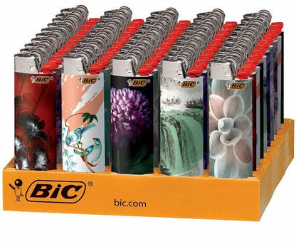 Bic Lighter