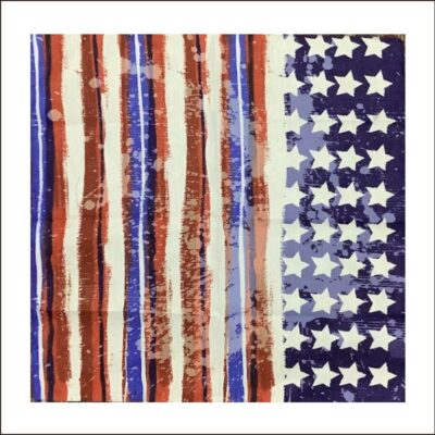 BANDANA AMERICAN FLAG PRINT 21.5 6 CT