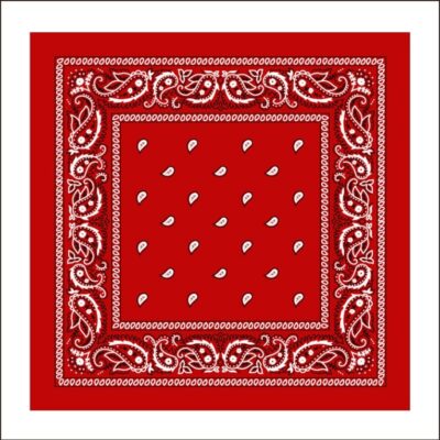BANDANA RED COLOR PRINTED 21.5 6 CT