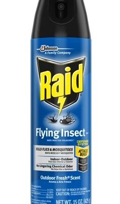 RAID FLYING INSECT KILLS FLIES&MOSQUITOES 15 OZ 1 CT