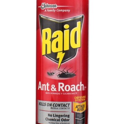 RAID ANT & ROACH KILLER OUTDOOR FRESH 12 OZ