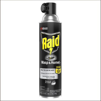 RAID WASP & HORNET 17.5 OZ 1 CT