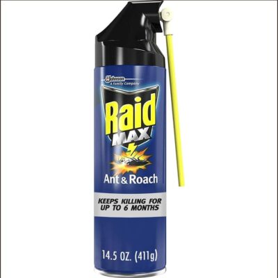 RAID MAX ANT & ROACH KILLER OUTDOOR FRESH 14.5 OZ