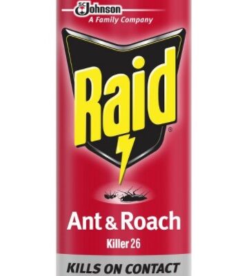 RAID ANT & ROACH KILLER LAVENDER SCENT 17.5 OZ