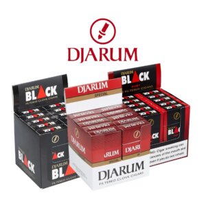 DJARUM 12PK 10CT