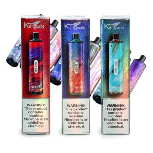 KANGVAPE 3000 PUFFS 5% 12ML 10CT