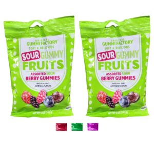 GUMMI FACTORY FRUITS GUMMY 5 OZ 1CT