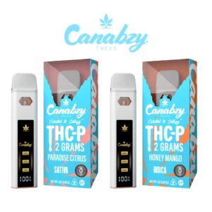 CANABZY DISPOSABLE THC-P 2GM 1CT
